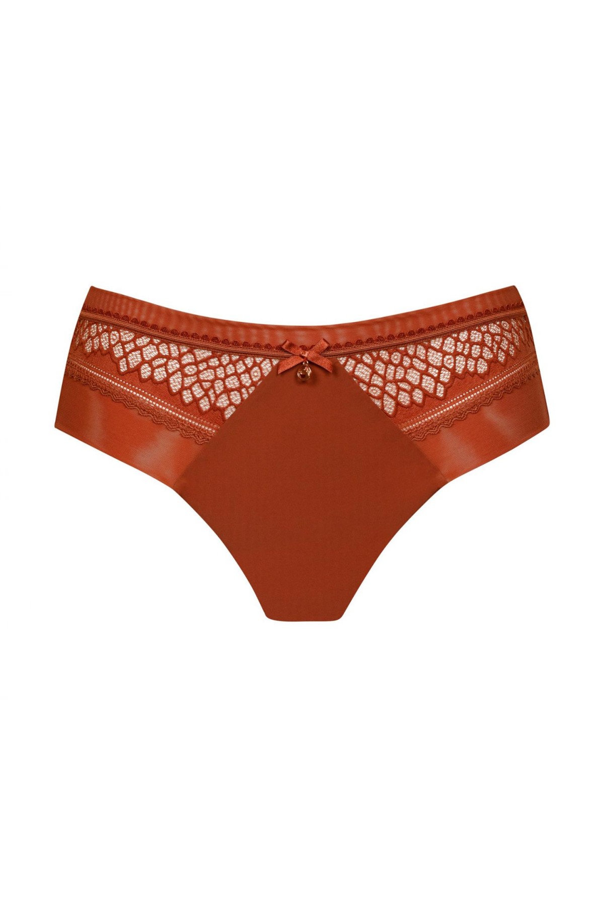 mid-rise-brazilian-briefs-marc-andre-paris-copper